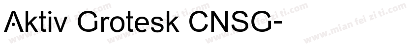 Aktiv Grotesk CNSG字体转换